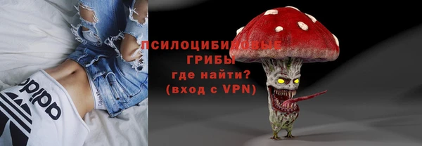 Альфа ПВП Кулебаки