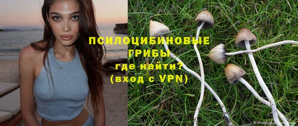 тгк Кукмор