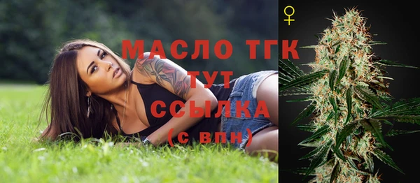 тгк Кукмор