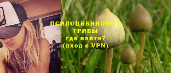Альфа ПВП Кулебаки