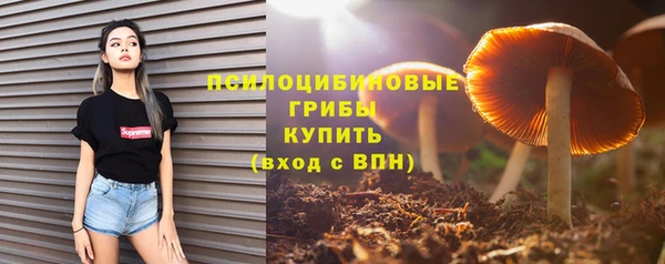 тгк Кукмор