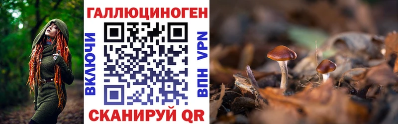 Галлюциногенные грибы MAGIC MUSHROOMS  мега маркетплейс  Нерчинск 